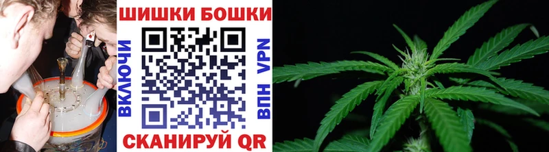 купить   Мураши  Конопля OG Kush 